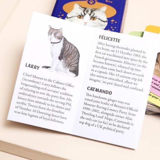 Cat Gurus (Mini Deck): Guidance from the World's Greatest Felines