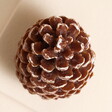 Ivyline Pinecone Candle