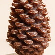 Ivyline Pinecone Candle