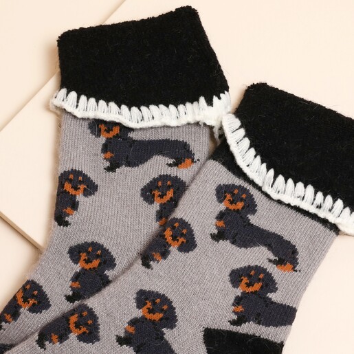 close up of dachshund design