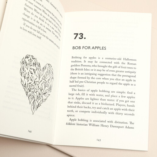 102 Things to Do in Autumn Book