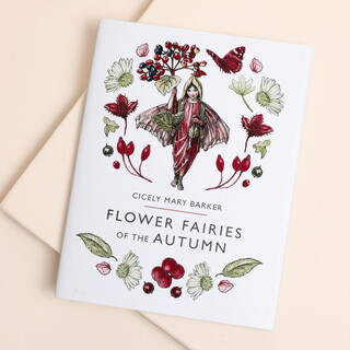 Flower Fairies of the Autumn Book