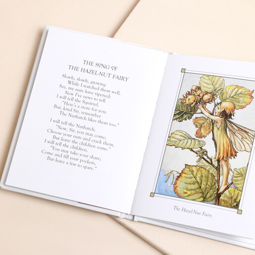 Open pages of Flower Fairies of the Autumn Book