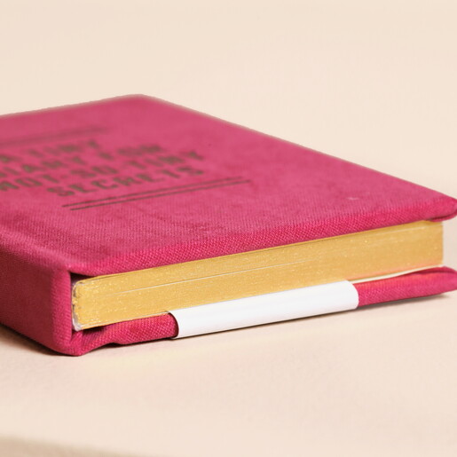 A Tiny Diary for Not So Tiny Secrets