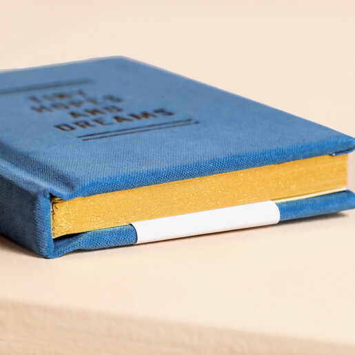 A Tiny Diary for Tiny Hopes and Dreams