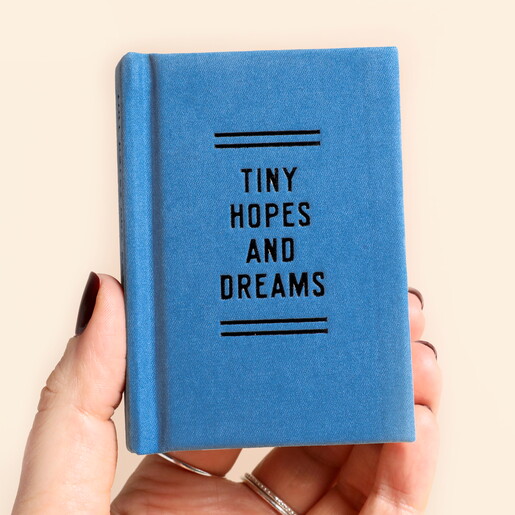 A Tiny Diary for Tiny Hopes and Dreams
