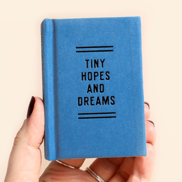 A Tiny Diary for Tiny Hopes and Dreams