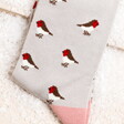 Close Up of Miss Sparrow Little Robin Socks in Silver