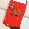 Mr Sparrow Red Christmas Capybara Bamboo Socks