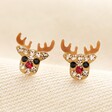 Sterling Silver Crystal Festive Reindeer Stud Earrings