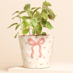 Sass & Belle Bow Planter