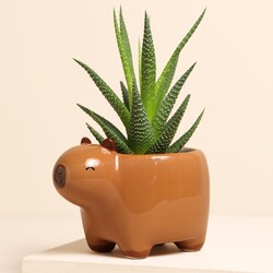 Sass & Belle Capybara Planter
