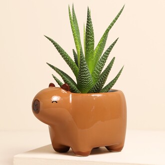 Sass & Belle Capybara Planter