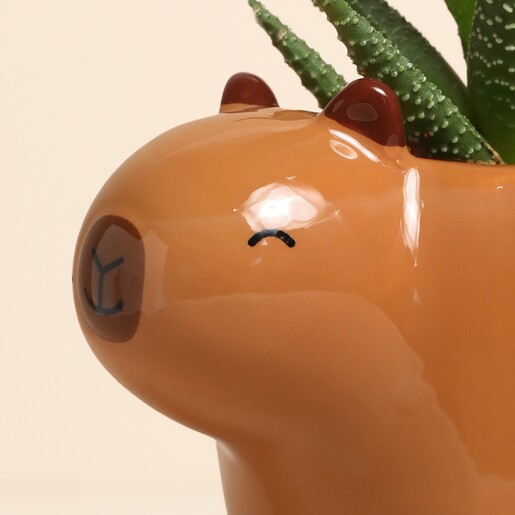 Sass & Belle Capybara Planter