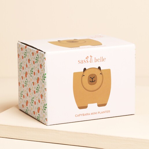 Sass & Belle Capybara Planter