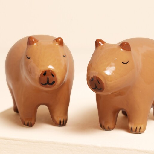 Sass & Belle Capybara Salt & Pepper Shakers