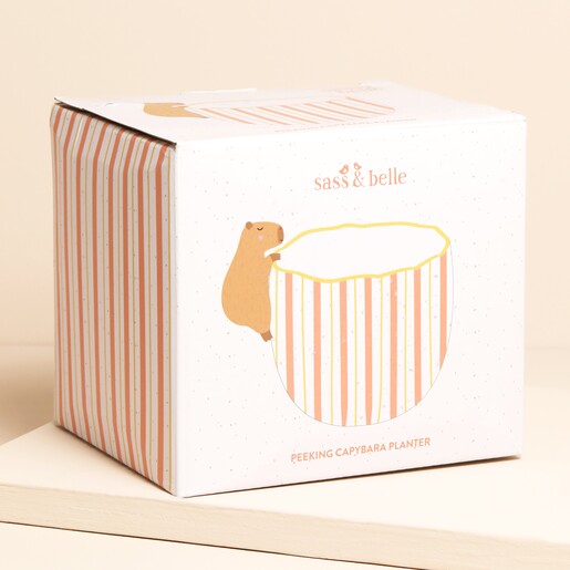 Sass & Belle Peeking Capybara Planter