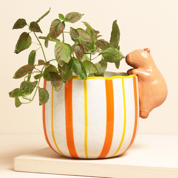 Sass & Belle Peeking Capybara Planter