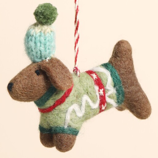 close-up of dachshund