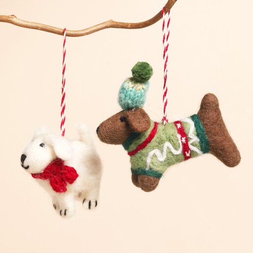 dachshund with friend