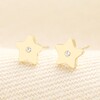 Stainless Steel Tiny Star Stud Earrings in Gold