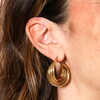 Stainless Steel Twisted Hoop Earrings in Gold