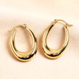 Stainless Steel Oval Hoop Earrings in Gold