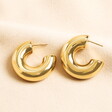 Stainless Steel Wide Hoop Earrings in Gold