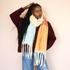Colour Block Winter Scarf on Model