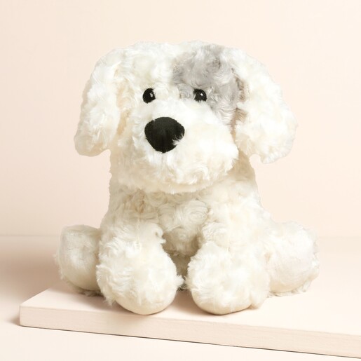 Warmies Curly Patch Dog Microwavable Soft Toy on a Neutral Background