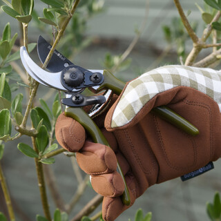 Burgon & Ball Olive Steel Micro Secateurs