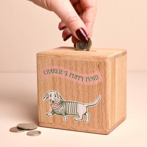 Hand dropping a coin into a personalised wooden puppy fund money box