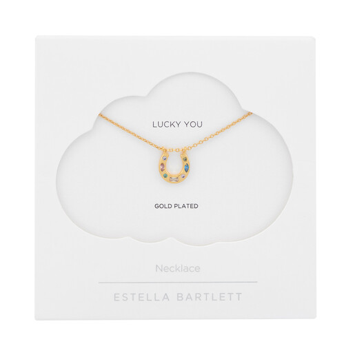 Estella Bartlett gold horseshoe necklace displayed on a white Lucky You gift card