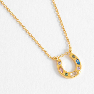 Estella Bartlett Rainbow Crystal Horseshoe Necklace in Gold
