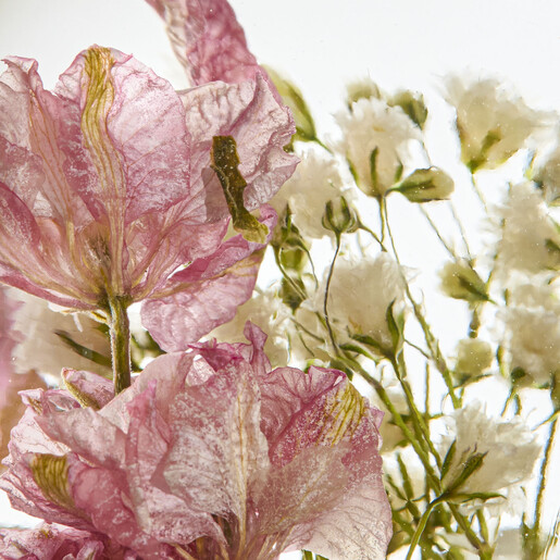 Close-up of delicate pink and white dried flowers suspended in bath essence liquid
