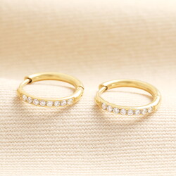 Small Stainless Steel Crystal Huggie Hoop Earrings in Gold
