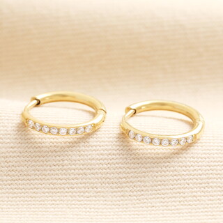 Small Stainless Steel Crystal Huggie Hoop Earrings in Gold