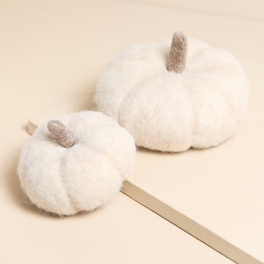 small pumpkin seasonal decoration