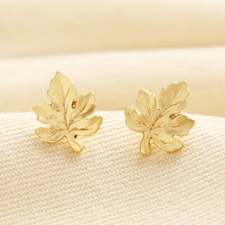 Leaf Stud Earrings in Gold