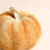 Close-up of the ribbed plush orange velvet fabric and gold metallic stalk