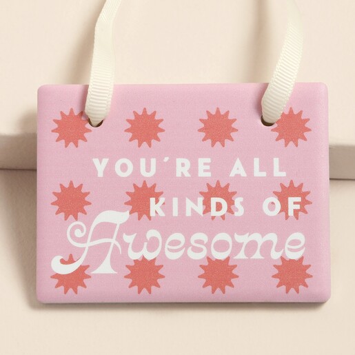 Close-up of pink ceramic plaque reading You're All Kinds of Awesome