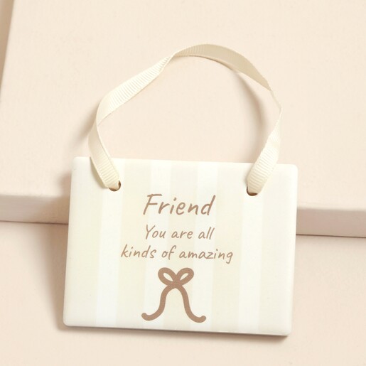 Friend You are all kinds of amazing ceramic hanging plaque with ribbon loop