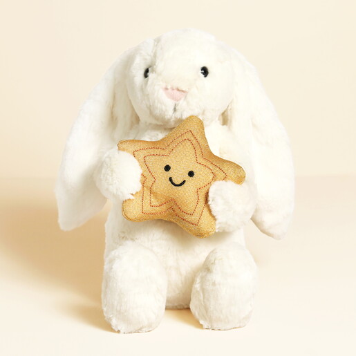 A Sweet Rabbit Plushie in Cream Holding Onto a Star Plushie