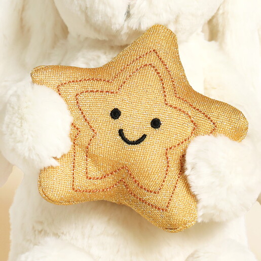 Close Up of Star Plushie Being Held by Bunny Rabbit Soft Toy