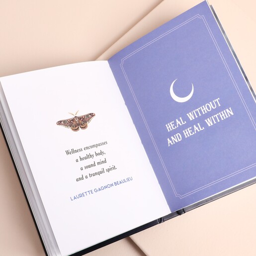 Inside spread of Folk Magic book with moth artwork and quote
