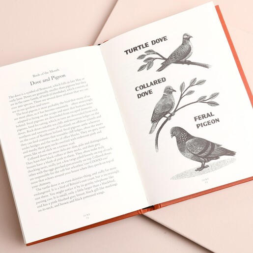 Open page showing Dove and Pigeon illustrations inside A Year in Nature book.
