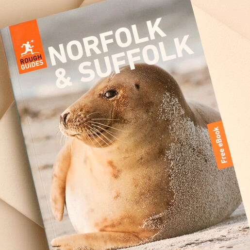Close up of the Rough Guides Norfolk and Suffolk travel book cover.