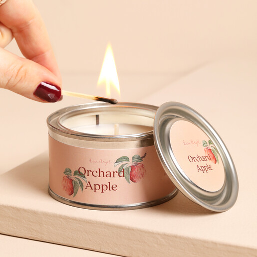 A lit match lighting the wick of the Orchard Apple paint pot candle