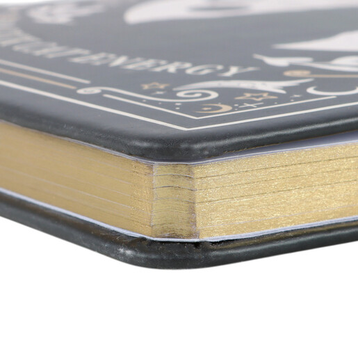 Close up of the shimmering gold gilt edges on the black cat notebook