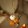lifestyle shot of trio of autumnal pumpkins